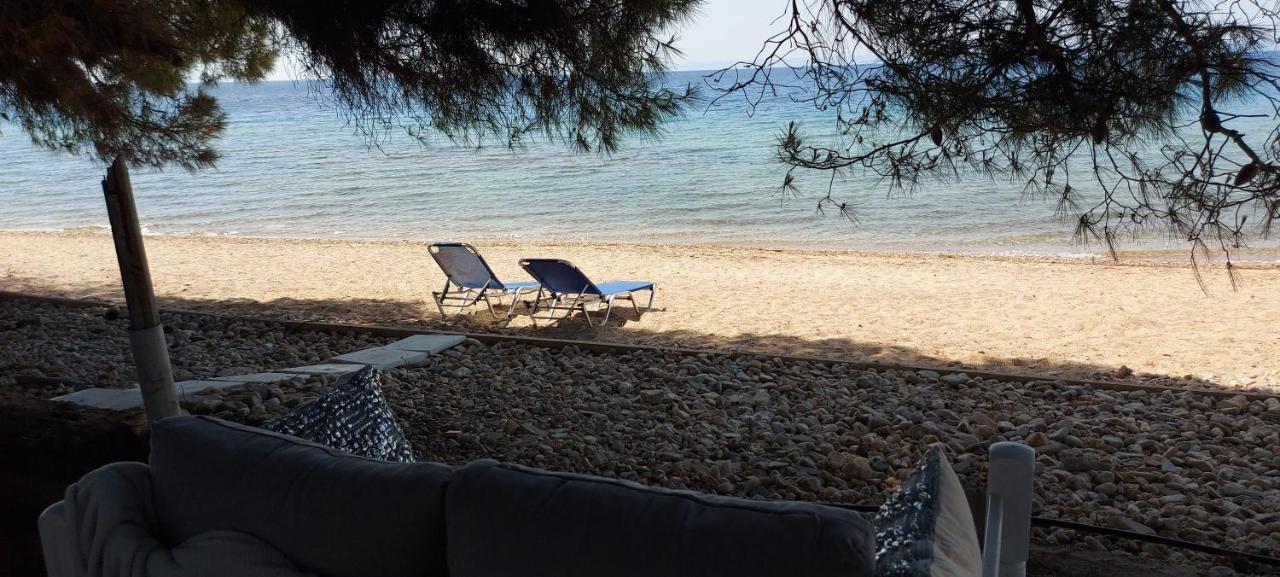 "Pine&Sea" Kastamoniti Beach Nikiti  Exteriér fotografie