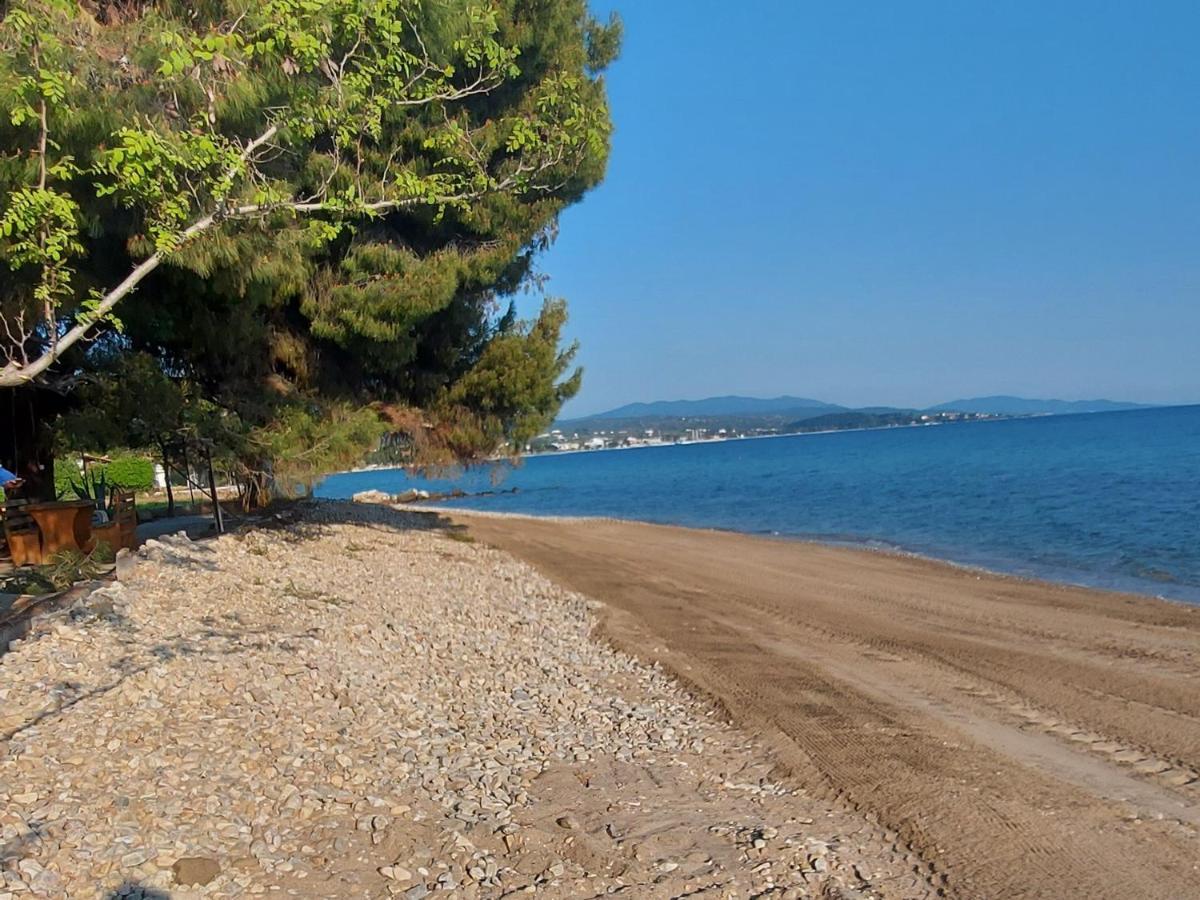 "Pine&Sea" Kastamoniti Beach Nikiti  Exteriér fotografie