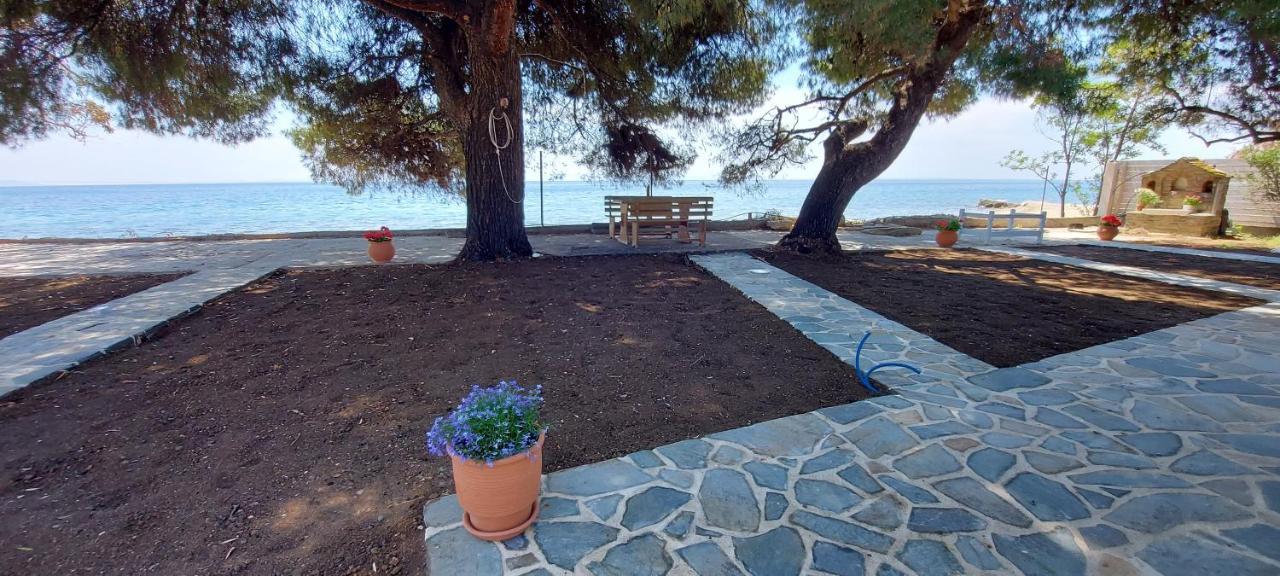 "Pine&Sea" Kastamoniti Beach Nikiti  Exteriér fotografie
