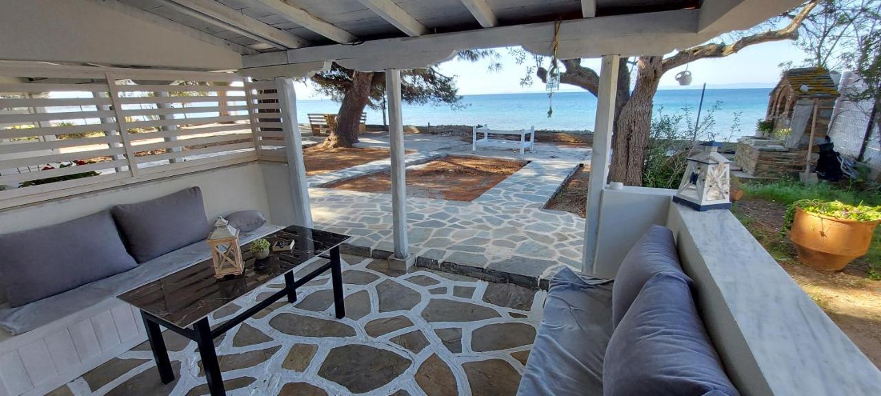 "Pine&Sea" Kastamoniti Beach Nikiti  Pokoj fotografie
